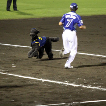 080919_IMG_6222.jpg