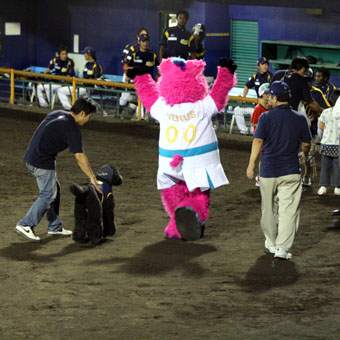 080919_IMG_6239.jpg