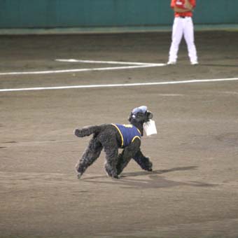 080920_IMG_6575.jpg