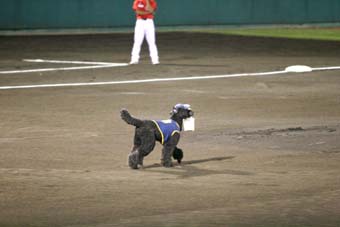 080920_IMG_6577.jpg