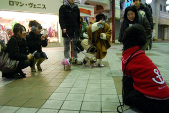 081222_DSC_0053.jpg