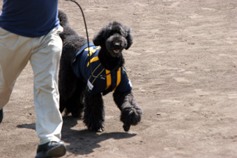 090510_IMG_8789.jpg