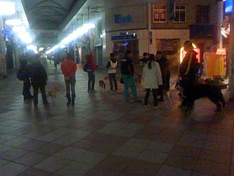 091116_PH_98.jpg