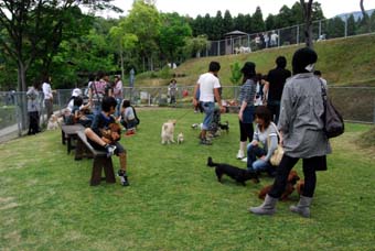 100509_DSC_0274.jpg