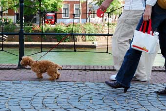 100516_DSC_0399.jpg