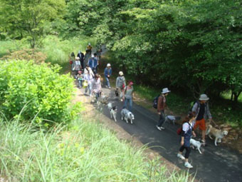 100601-213.jpg