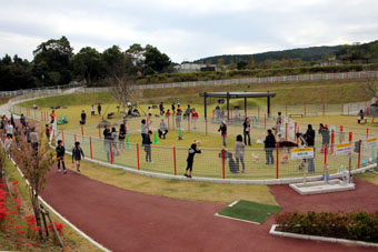 111002_IMG_2215.jpg
