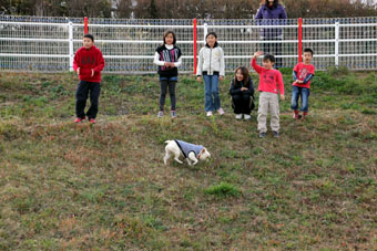111218_IMG_3463.jpg