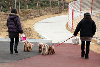 120205_IMG_5939.jpg