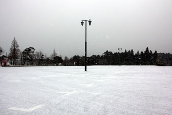120208_IMG_6008.jpg