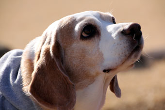 120212_IMG_6128.jpg