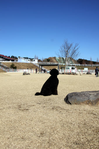 120212_IMG_6177.jpg