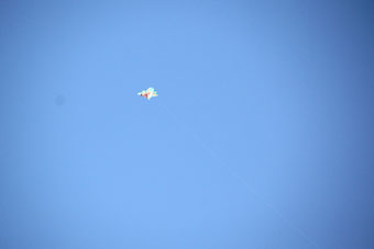 120212_IMG_6179.jpg