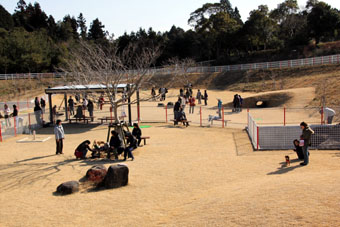 120212_IMG_6251.jpg