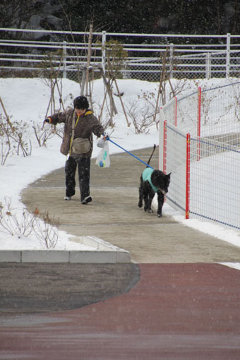 120219_IMG_6582.jpg