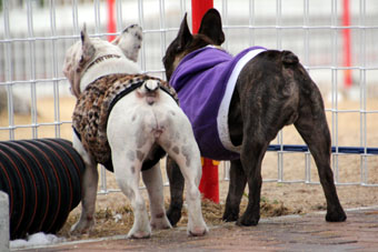 120219_IMG_6951.jpg