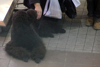 120223_IMG_7018.jpg