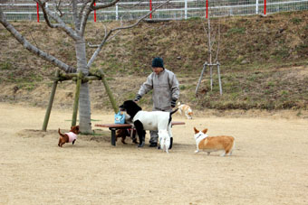 120226_IMG_7255.jpg