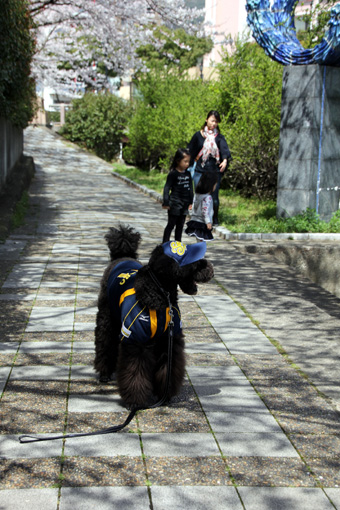 120331_IMG_8795.jpg
