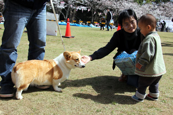 120331_IMG_8857.jpg