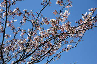 120407_IMG_9238.jpg