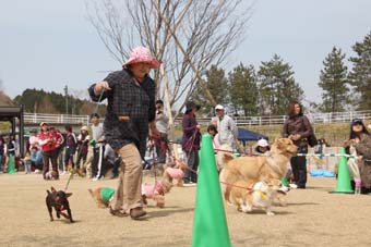 120408_IMG_9710.jpg