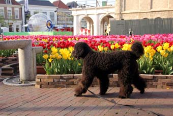 120416_IMG_0153.jpg