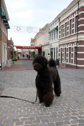 120419_IMG_0241.jpg