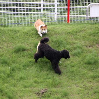 120707_IMG_3336.jpg