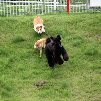 120707_IMG_3337.jpg