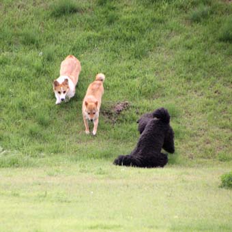 120707_IMG_3338.jpg