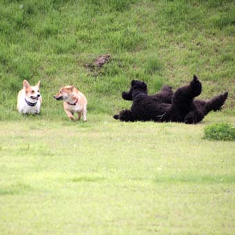 120707_IMG_3340.jpg