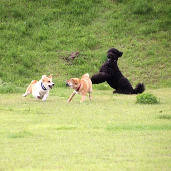120707_IMG_3341.jpg