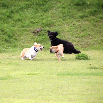120707_IMG_3342.jpg