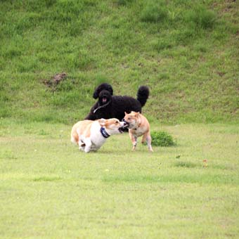 120707_IMG_3343.jpg