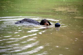 120721_IMG_3858.jpg