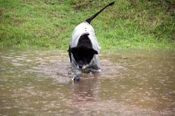 120721_IMG_3864.jpg
