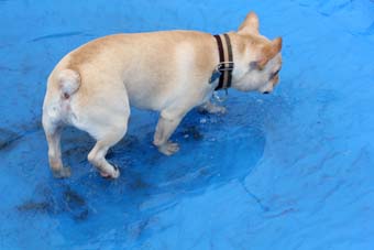 120722_IMG_3964.jpg