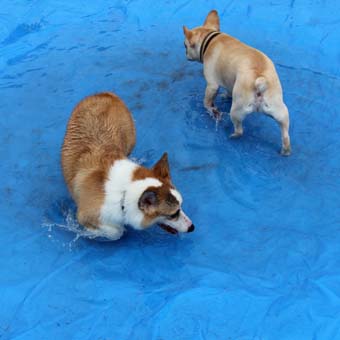 120722_IMG_3966.jpg