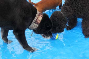 120729_IMG_4156.jpg