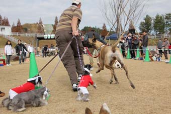 121125_IMG_4053.jpg
