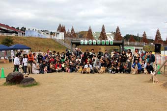 121125_IMG_4333.jpg