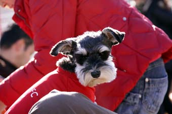 121125_IMG_9603.jpg