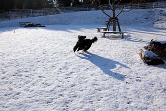 121212_IMG_4884.jpg