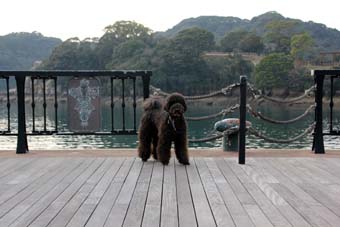 130131_IMG_7841.jpg