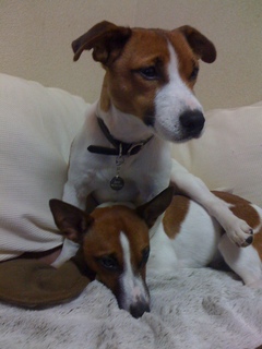 2009110320031-thumbnail2.jpg