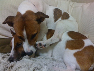 2009110320035-thumbnail2.jpg