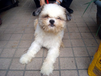 セイ_2010-04-01-345.jpg