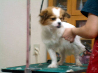 メル_2010-04-01-414.jpg