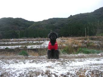 DSCN7478_080101.jpg